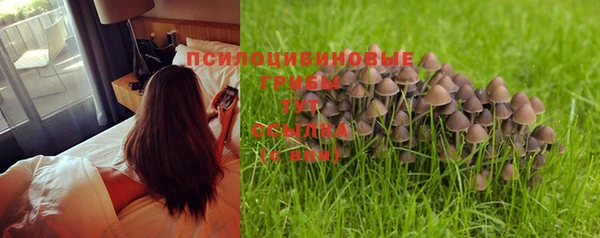 бутират Балабаново