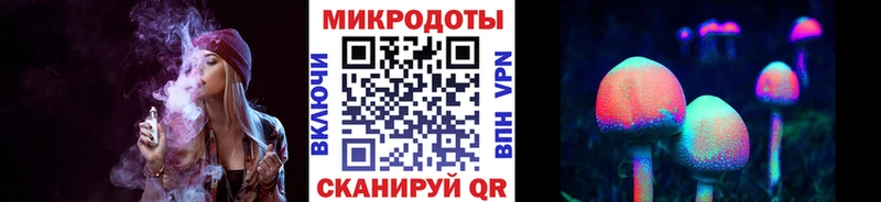 сколько стоит  Старая Русса  Галлюциногенные грибы Cubensis 